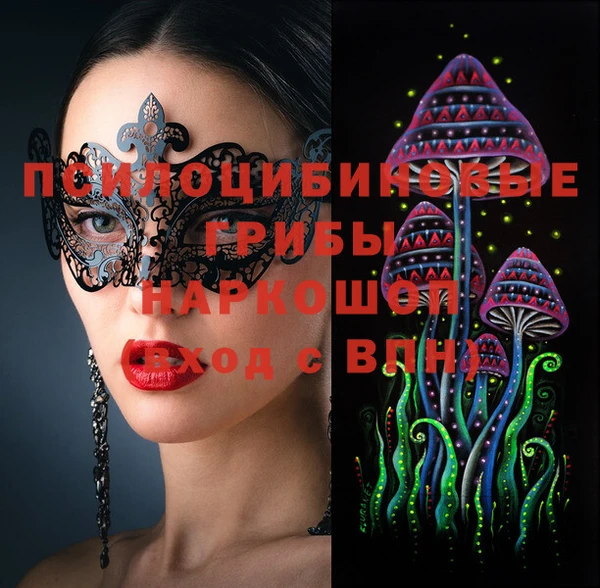 тгк Богданович