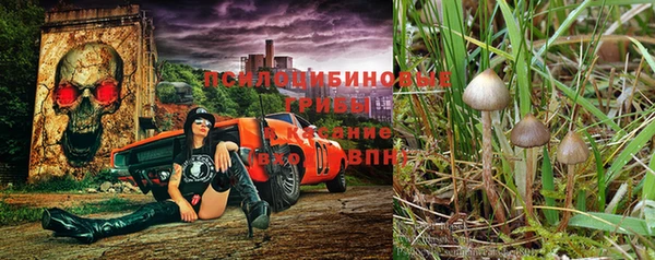 молекула духа Бугульма