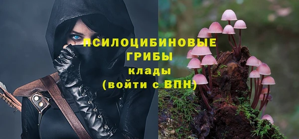 герыч Бородино